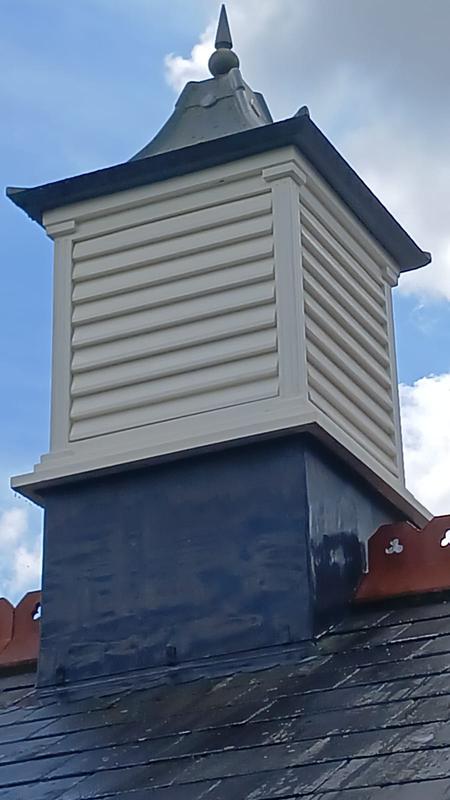 Roof Cleaning & Biocide Treatment, Wareham, SwanDor Dorset